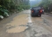 Jalan Lintas Nasional nasional Geumpang-Beureunun Bagaikan pantai Sungai