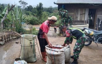 Wujudkan Kemanunggalan TNI Ini Yang Dilakukan Kopda Azwar Liska Ara Babinsa Koramil 03 Pegasing Kepada Warga Binaannya