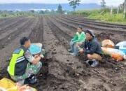 Babinsa Koramil 09 Ketol Dampingi Petani Siapkan Lahan Pertanian