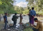 Puluhan hektar Sawah,Terancam Gagal Panen,Warga Owaq Dusun Kerlang.