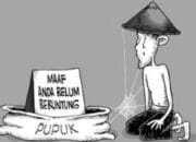 Harga Pupuk Melambung Tinggi di Kecamatan Madat, Petani Kian Tertekan