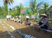 Kapolres Pidie Jaya Resmikan “Pekarangan Pangan Bergizi”: Langkah Strategis Menuju Kemandirian Pangan