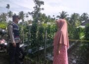 Optimalisasi Lahan Tidur: Bhabinkamtibmas Polsek Bandar Dua Dorong Kemandirian Pangan