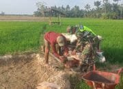 Serka Darmi: Bahwa Perlu Kerja Keras Untuk Mempertahankan Tanaman Padi