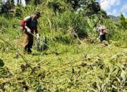 Dukung Asta Cita Presiden, Kapolsek Celala Bersama Anggota Dan masyarakat Garap Lahan Tidur Jadi Produktif