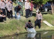 Tingkatkan Ketahanan Pangan Lokal, Kapolres Aceh Tengah Tebar Ribuan Benih Ikan Nila