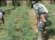 Serda Hanizar Membantu Warga Binaan Merawat Tanaman Cabai