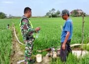 Serka Budi: Melaksanakan Komsos Dengan Petani Seputar Kondisi Pertanian Meliputi Harga Pupuk