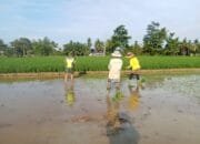 Serma Jhon: Kami Selalu Mendampingi Kegiatan Yang Dilakukan Oleh Para Kelompok Tani di Desa Binaan