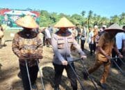 Kolaborasi Strategis Mendukung Swasembada: Kapolres Pidie Jaya Launching Penanaman Jagung Serentak 1 Juta Hektar