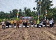 Ketua APDESI Silatnas Dampingi Muspika Lakukan Penanaman Jagung 1 Juta Hektar