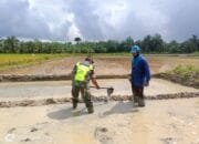 Sertu F Hasibuan Membantu Petani Untuk Mendukung Suksesnya Program Pemerintah Dalam Swasembada Pangan