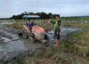 Serka Erwan Melaksanakan Pendampingan Petani Membajak Lahan Sawah