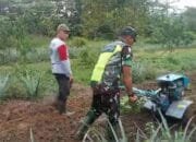 Babinsa Koramil 05 Mendamping Petani Pengolahan Lahan Untuk Tanaman Terong
