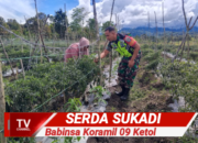Serda Sukadi Babinsa Koramil 09 Ketol Dampingi Petani Menanam Cabai Didesa Binaan