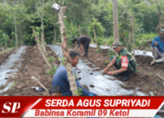 Dukung Hampangan, Babinsa Koramil 09 Ketol Bantu Warga Menanam Cabai