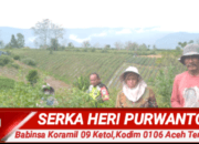 Babinsa Koramil 09 Ketol Bantu Petani Cabut Batang Cabai Usai Panen