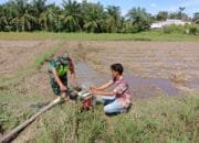 Serma Zulkarnaini Babinsa Koramil 04 Membantu Petani Dalam Mengairi Sawahnya Yang Kekurangan Air