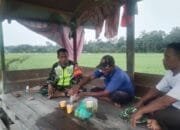 Dukung Upaya Pemerintah Mewujudkan Swasembada Pangan, Babinsa Koramil 06 Melaksanakan Kegiatan Komsos Dengan Petani