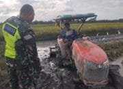 Babinsa Koramil 09/Banda Mulia Melakukan Mendampingi Pertanian Dalam Mengolah Lahan Sawah