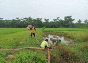 Serda Budi Utomo Melaksanakan Membantu Petani Melakukan Pengairan Sawah Menggunakan Metode Pompanisasi
