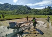 Babinsa Koramil 03/Pegasing Bantu Warga Membajak Sawah di Desa Kung