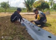 Polsek Panteraja sosialisasi dan Pendataan Ketahanan Pangan