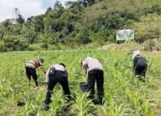 Dukung Asta Cita Presiden, Polres Aceh Tengah Rutin Sambangi Masyarakat Cek Lahan Ketahanan Pangan