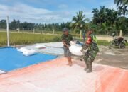 Sertu Indar Mawan Membantu Petani Menjemur Padi Usai Panen