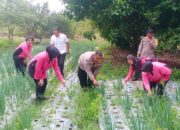 Polsek Namang Launching Program Pekarangan Pangan Lestari, Dorong Kemandirian Pangan Masyarakat