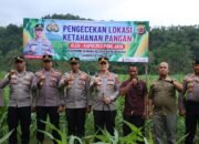 Kapolres Pidie Jaya Tinjau Lahan Jagung dan Panen Terong Bersama Petani