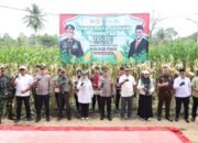 Wakapolda Aceh Panen Raya Jagung Tahap I secara Serentak di Kabupaten Pidie