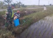 Sebagai Bentuk Kepedulian Terhadap Pertanian Sertu Sugianto Membantu Petani Menyemprot Hama Padi