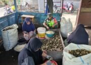 Babinsa Koramil 09/Ketol Dampingi Pengrajin Kolang-Kaling untuk Penuhi Kebutuhan Takjil Ramadan