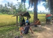Kopda Niko: Komsos Dengan Petani Padi untuk Mengatahui Peningkatan Produksi Padi
