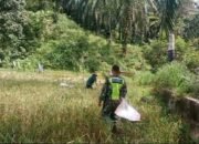 Ditengah Suasana Puasa Sertu M. Wartoyo Membantu Petani Melaksanakan Kegiatan Panen Padi