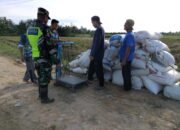 Serka Erwan Melakukan Pendampingan Panen Padi Milik Kelompok Tani