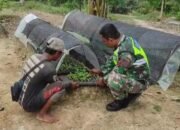 Koptu Wahyu: Semoga Disamping Babinsa Dapat Memberikan Motivasi Kepada Petani