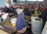 Babinsa Koramil 09/Ketol Dukung Produsen Kolang-Kaling di Bulan Ramadhan