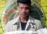 Polres Aceh Tengah Ungkap Kasus Lahgun Narkotika Jenis Sabu dan Ganja, Dua Pelaku Diamankan Satu Diantaranya Residivis