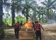 Polisi Gerebek Lokasi Sabung Ayam Ilegal di Deli Serdang, Pondok Dihanguskan