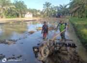 Dalam Upaya Mendukung Ketahanan Pangan Nasional, Sertu Firman, Membantu Petani Membajak Sawah
