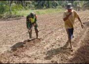 Danramil: Kegiatan Yang Dilakukan Oleh Babinsa Merupakan Bentuk Mewujudkan Penguatan Ketahanan Pangan