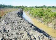 Dandim: Kedatangan Kita Hari Ini Untuk Mengecek Tahap Pelaksanaan Pekerjaan Sasaran Optimalisasi Lahan