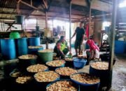 Babinsa Koramil 03/Seruway Mendamping Pelaku Usaha Mikro Kecil Menengah