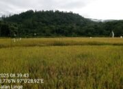 Warga PantanNangka dan Simpang Tiga Uning,Pertanyakan Kapan Turun Ke Lapangan Penetapan Batas Konsesi THL.