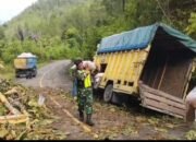 Senergitas TNI-Polri,Koramil O5/Isaq dan Polsek Linge,Gerak Cepat Bersihkan Badan Jalan Tertutup Pohon Tumbang.