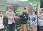Bhabinkamtibmas Polsek Bintang Cek Perkembangan Tanaman Pangan Bergizi di Kampung Binaan
