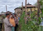 Kapolres Aceh Tengah Tinjau Lahan Produktif dan P2B Dukung Ketahanan Pangan