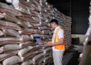 Serapan Membludak, Begini Cara BULOG Jaga Kualitas Beras di Gudang